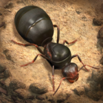 The Ants Underground Kingdom VARY APK MOD Unlimited Money