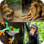 Animal Quiz Guess the Animal APK MOD Unlimited Money