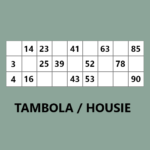 Housie Coin Picker Tambola 0.1.9 APK MOD Unlimited Money