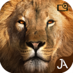 Safari Online Evolution 24.7.1 APK MOD Unlimited Money