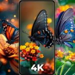 Cool Butterfly Wallpapers 4K 1.3.0 APK MOD Premium