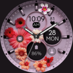 Flowers purple watch face VARY APK MOD Premium