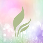 Full Leaf Tea Company 1.0.0 APK (MOD, Premium)