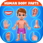 Human Body Parts – Kids Games 3.0 APK MOD Unlimited Money