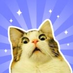 Meme Mix – Make Meme Fast 1.2.3 APK MOD Unlimited Money