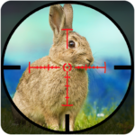 Rabbit Shooting – Wild Hunting 1.2.0 APK MOD Unlimited Money