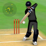 Smashing Cricket cricket game 3.3.2 APK MOD Unlimited Money