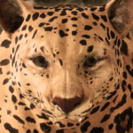 Ultimate Leopard Simulator 2.0 APK (MOD, Unlimited Money)