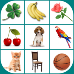 Brain game. Picture Match. 2.5.4 APK MOD Unlimited Money