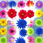 Flower Blast 1.0 APK (MOD, Unlimited Gold)