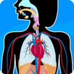 Human Anatomy – Body parts 2024.4.0 APK MOD Unlimited Money