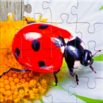 Insect Jigsaw Puzzle Game Kids 35.0 APK MOD Unlimited Money