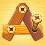 Screw Nuts Bolts Puzzle 1.0.2 APK MOD Unlimited Money