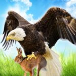 The Eagle 1.1.3 APK MOD Unlimited Money