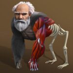 Idle Evolution – Cell to Human 2.3 APK MOD Unlimited Money