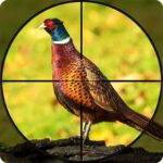 Pheasant Shooter Birds Hunting 1.1 APK MOD Unlimited Money