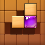 Block Sudoku – Wood Puzzle 1.2.5 APK MOD Unlimited Money