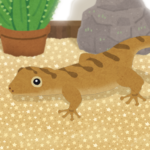 Gecko Pet 5.0 APK MOD Unlimited Money