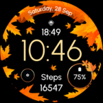 ReS51 – Autumn Winter Watch VARY APK MOD Premium