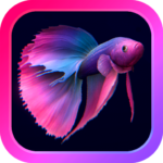 Bettarium – Betta Fish Tank 1.05 APK MOD Unlimited Money