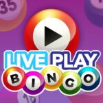 Live Play Bingo Real Hosts 1.25.6 APK MOD Unlimited Money