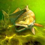 My Fishing World 1.15.14 APK MOD Unlimited Money